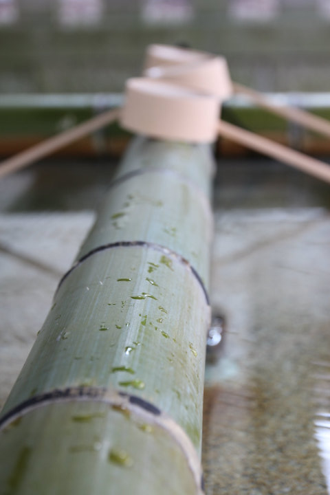 Chôzuya hecho con bambú en un templo de Kioto