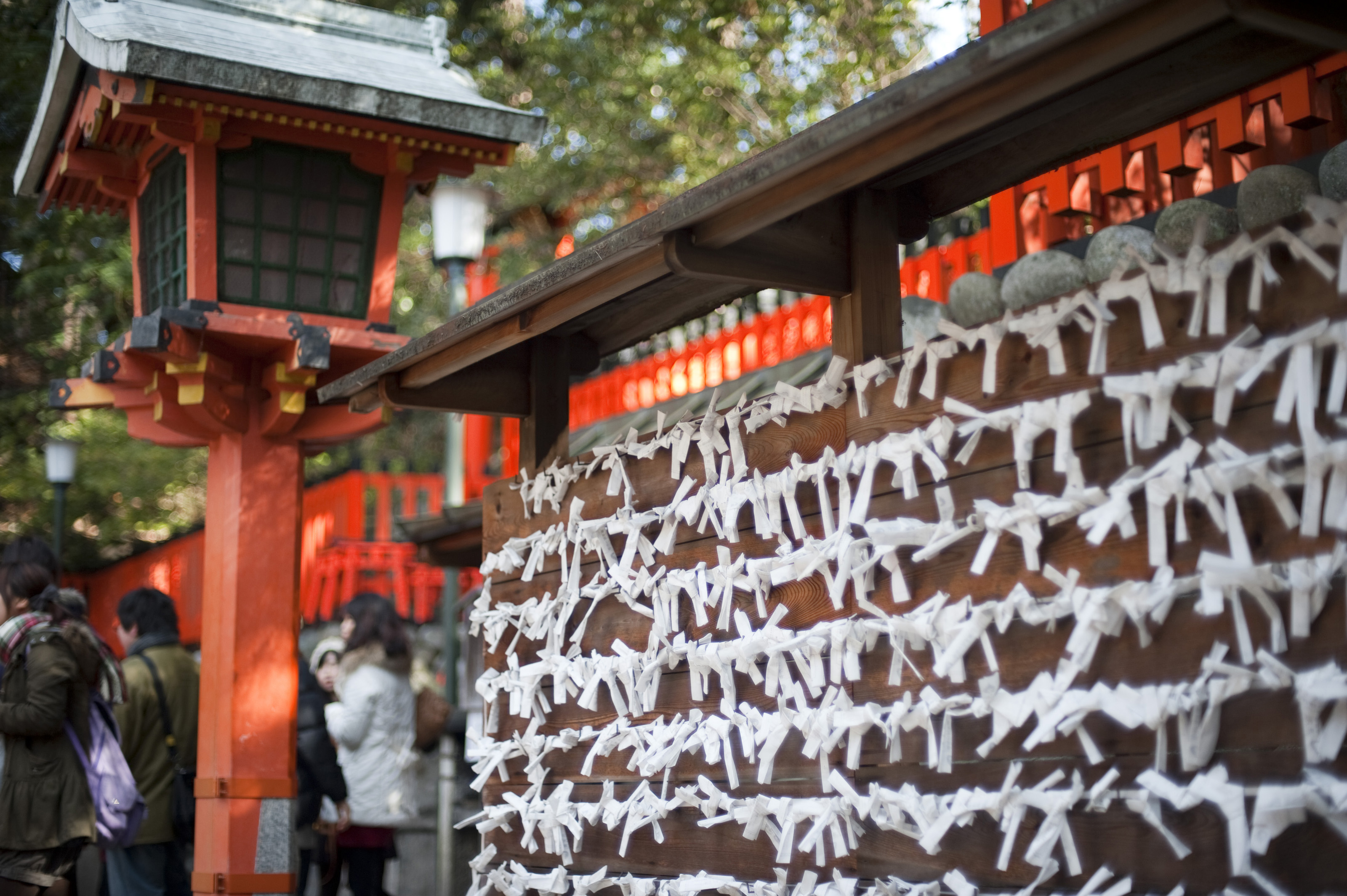 Omikuji with poor results tied to a plank at the shrine. Photo by freeimageslive.co.uk