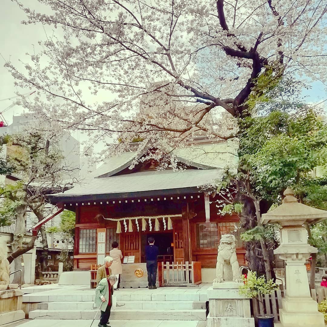 Shide y shimenawa en un santuario cerca de mi primer apartamento en Otsuka, Tokio