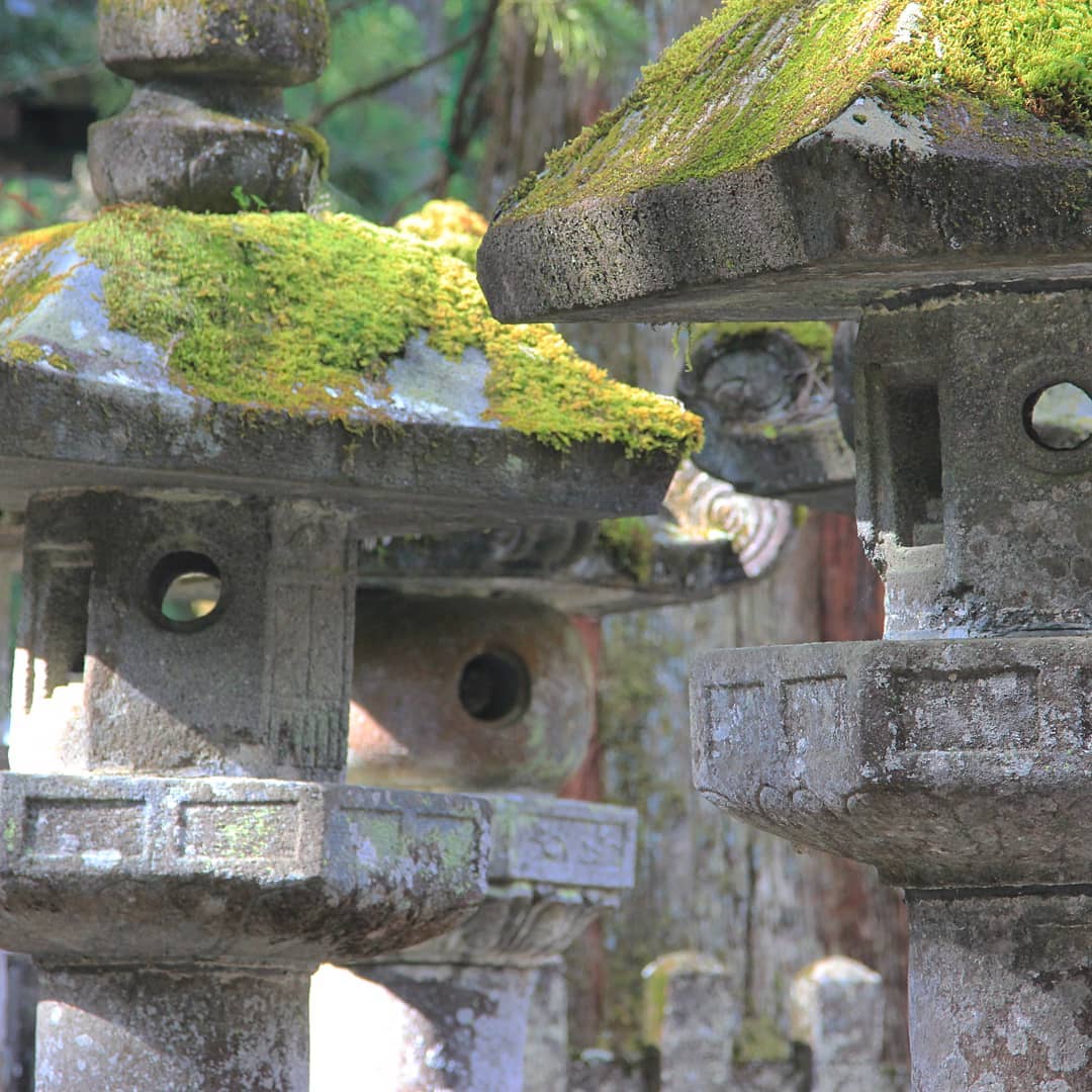 Stone lanterns at Toshogu Shrine in Nikko